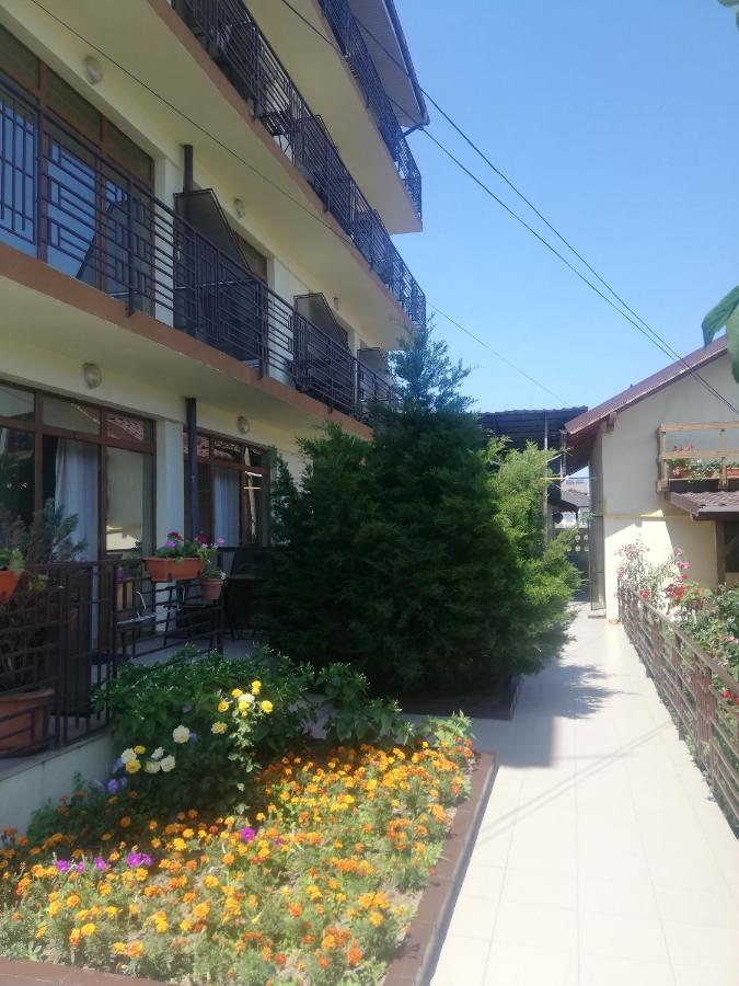 Villa Pescarus Costinesti Exterior foto